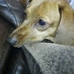 Meet your Posher, Elaine